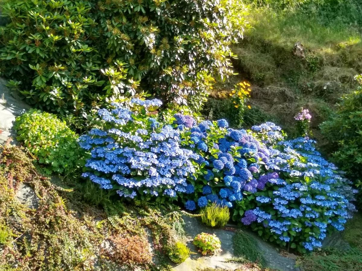 Les Hortensias La Poultiere Kültér fotó